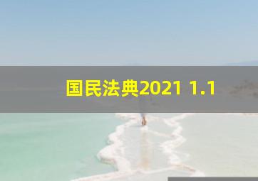 国民法典2021 1.1